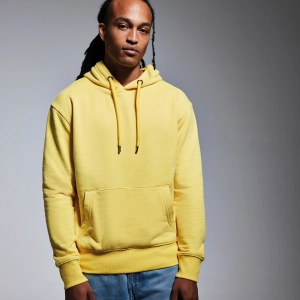 Sweat à capuche Anthem pour homme